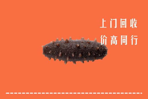 高价求购：达州渠县区回收海参