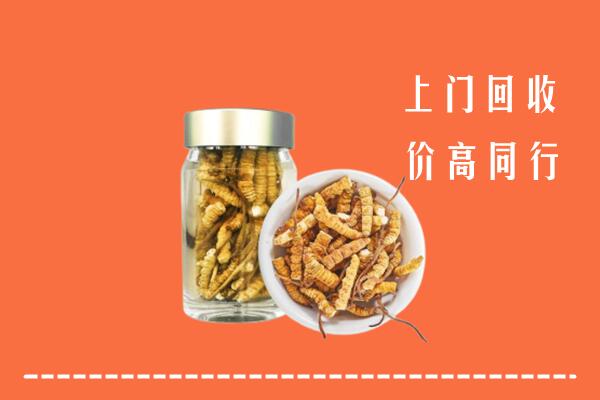 达州渠县区回收冬虫夏草