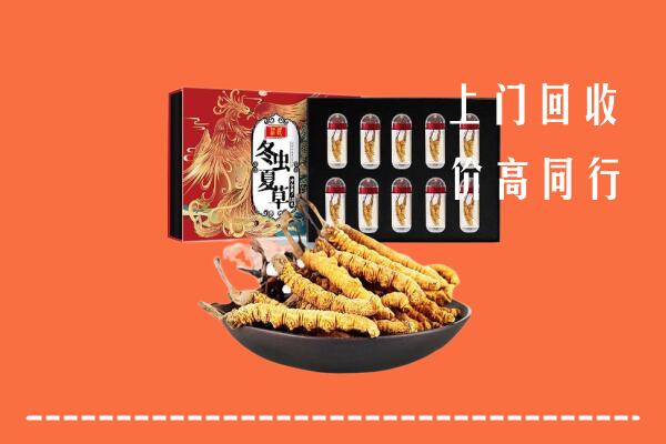 达州渠县区回收虫草